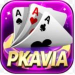 pkavia-game