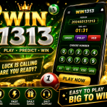 win1313